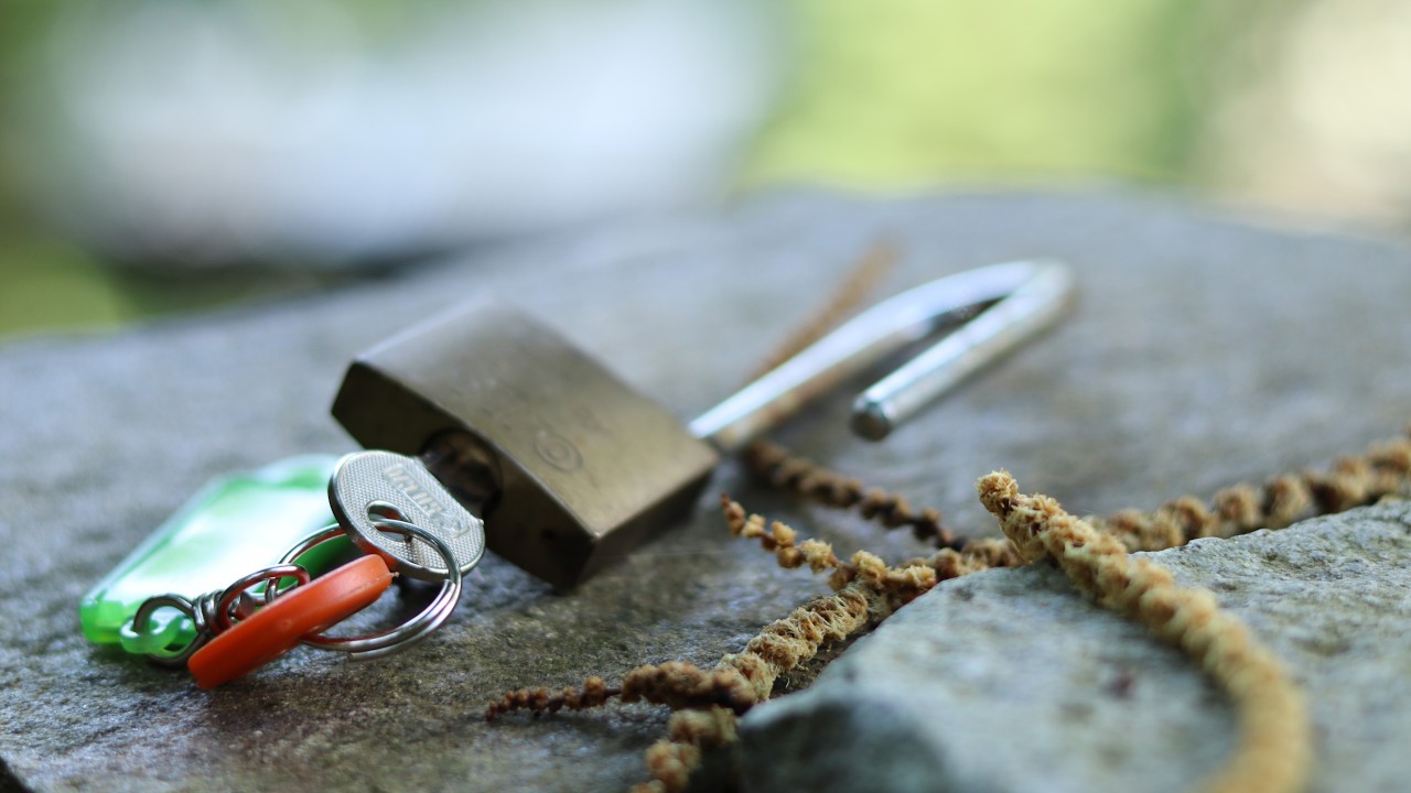 Camp @1 - The Beginning -  purchased property in Italian Alps, grass cutting, gardening, exploring.