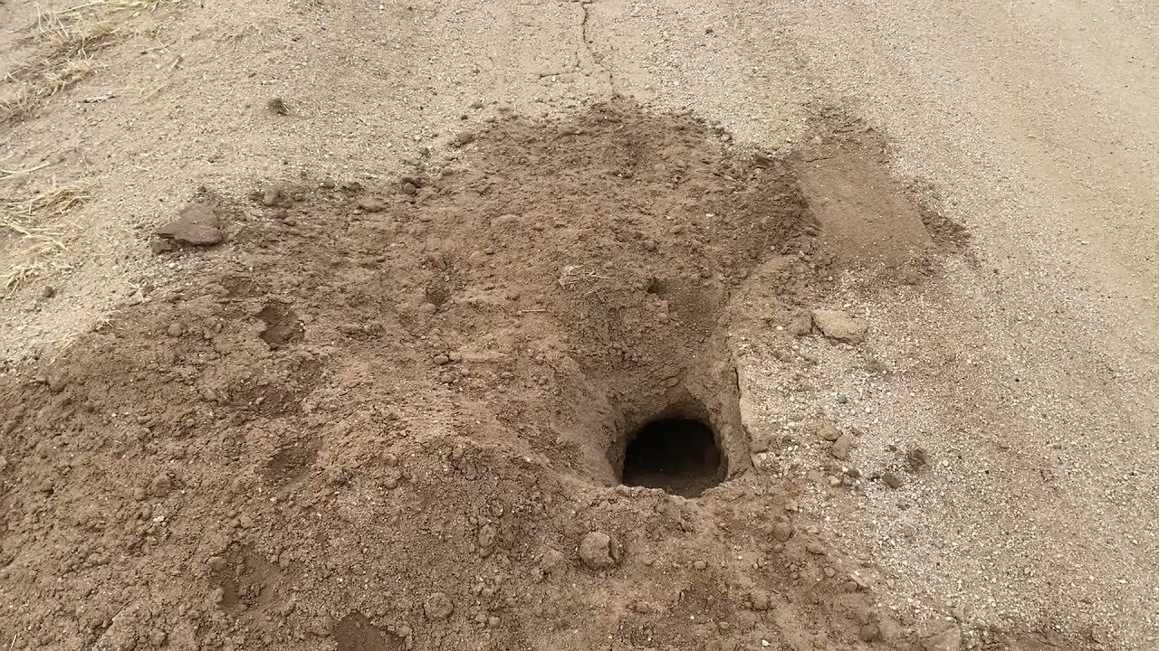 Roadcrew | The Ein Alien Digging Holes in Hard Roads of SE Colorado | Huge Holes!
