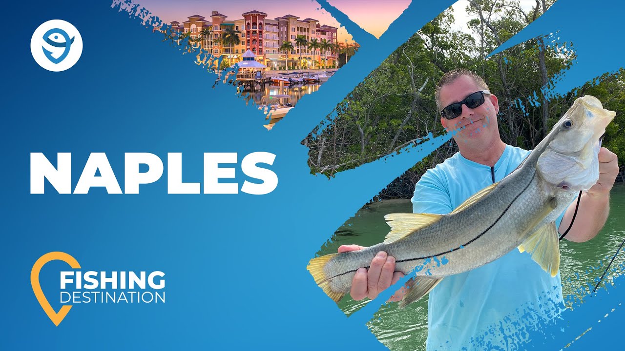 Fishing in Naples, FL: All You Need to Know | FishingBooker