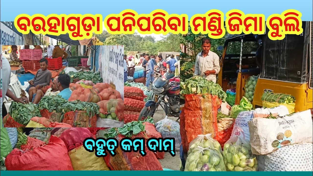 Barhagoda Big Vegetable wholesale Market,Bargarh