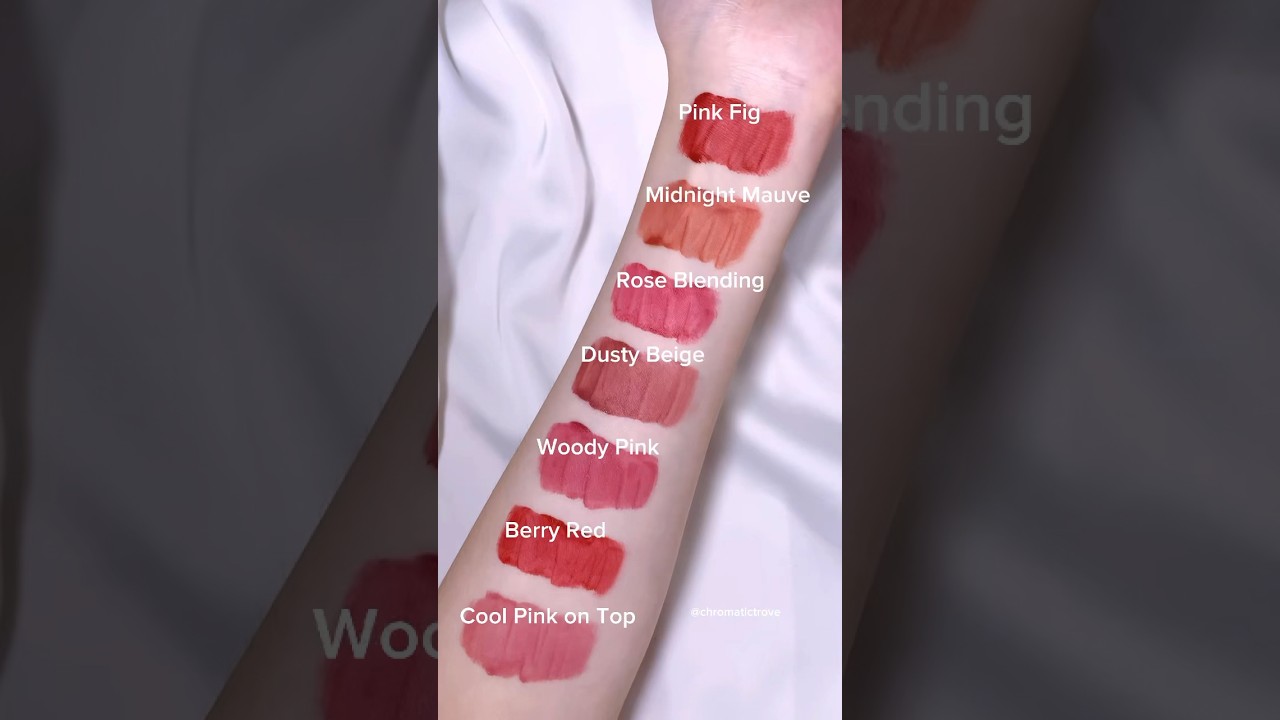 Swatching Etude Fixing Tint shades