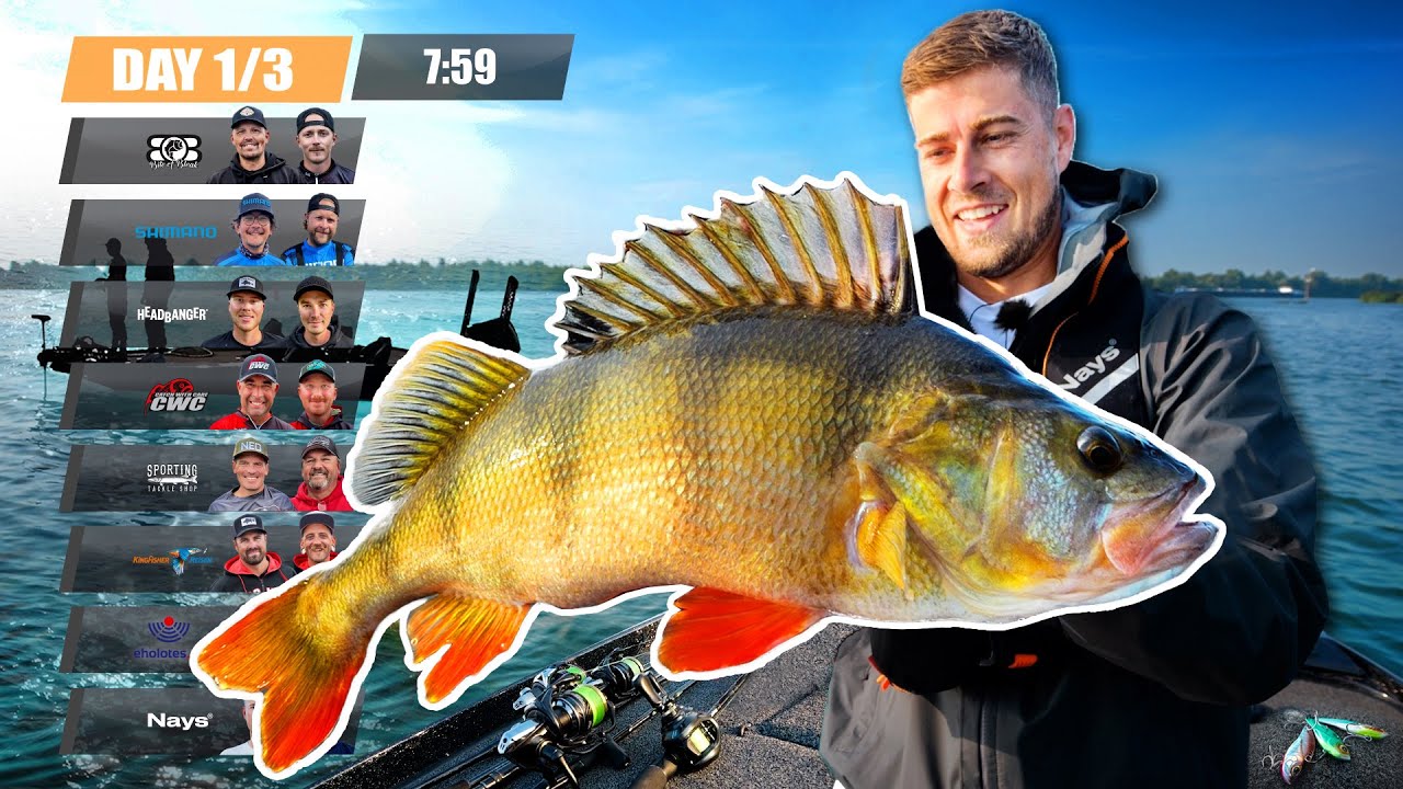 PERCH PRO 9 - Эпизод 1 (русские субтитры)