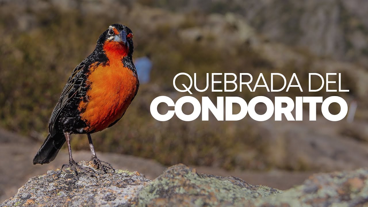 La belleza de los paisajes en la Quebrada del Condorito