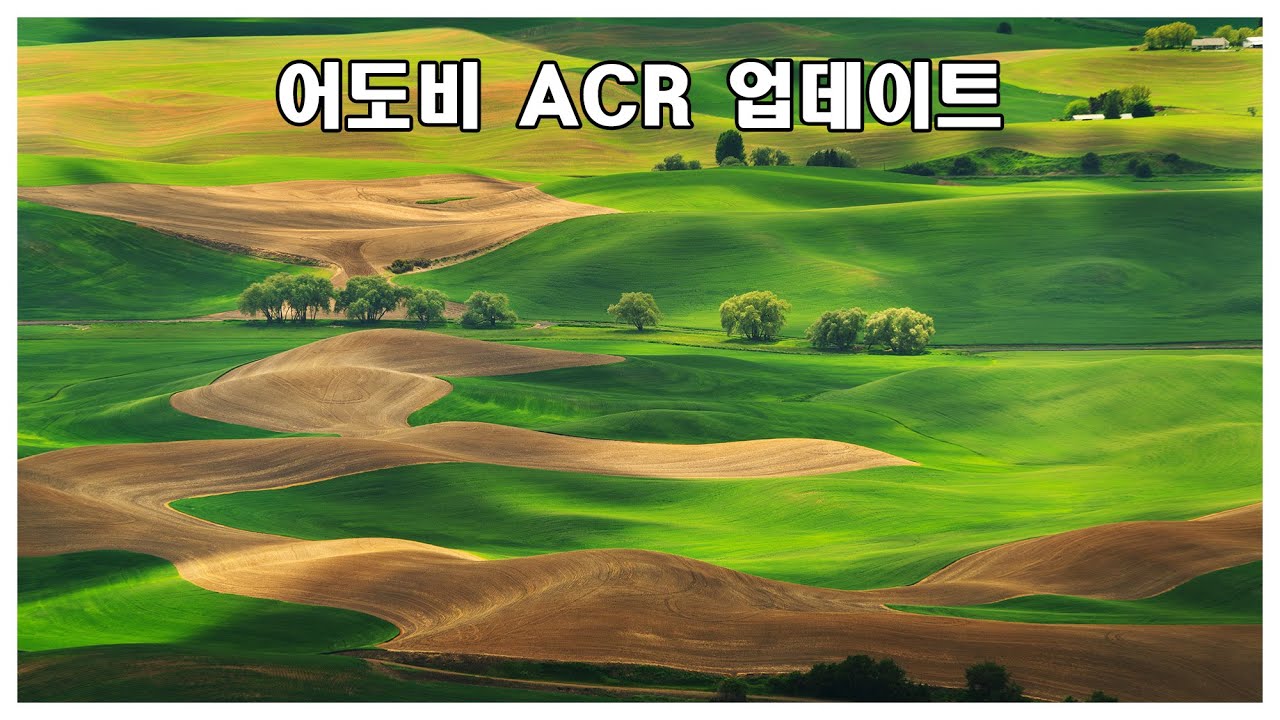 어도비 카메라 로우 ACR 업데이트