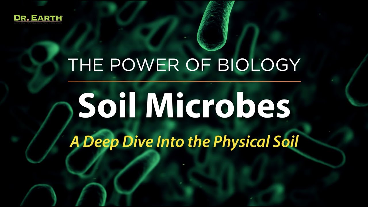Soil Microbes - Human Health Starts in the Soil.