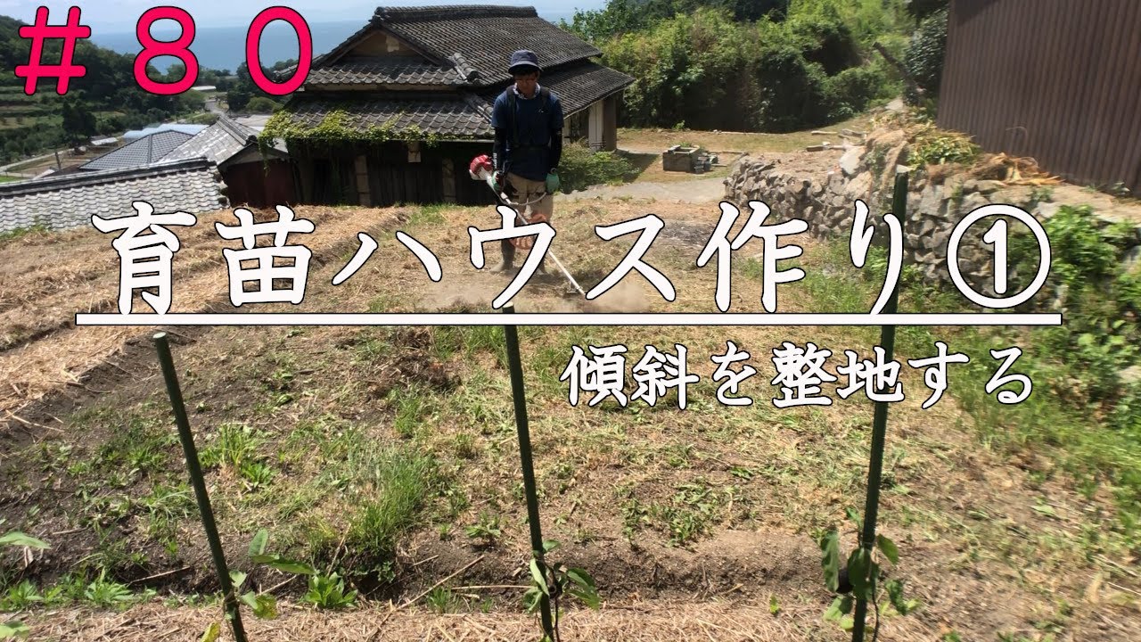 【自然農】育苗用ビニールハウス計画①｜草刈り～整地