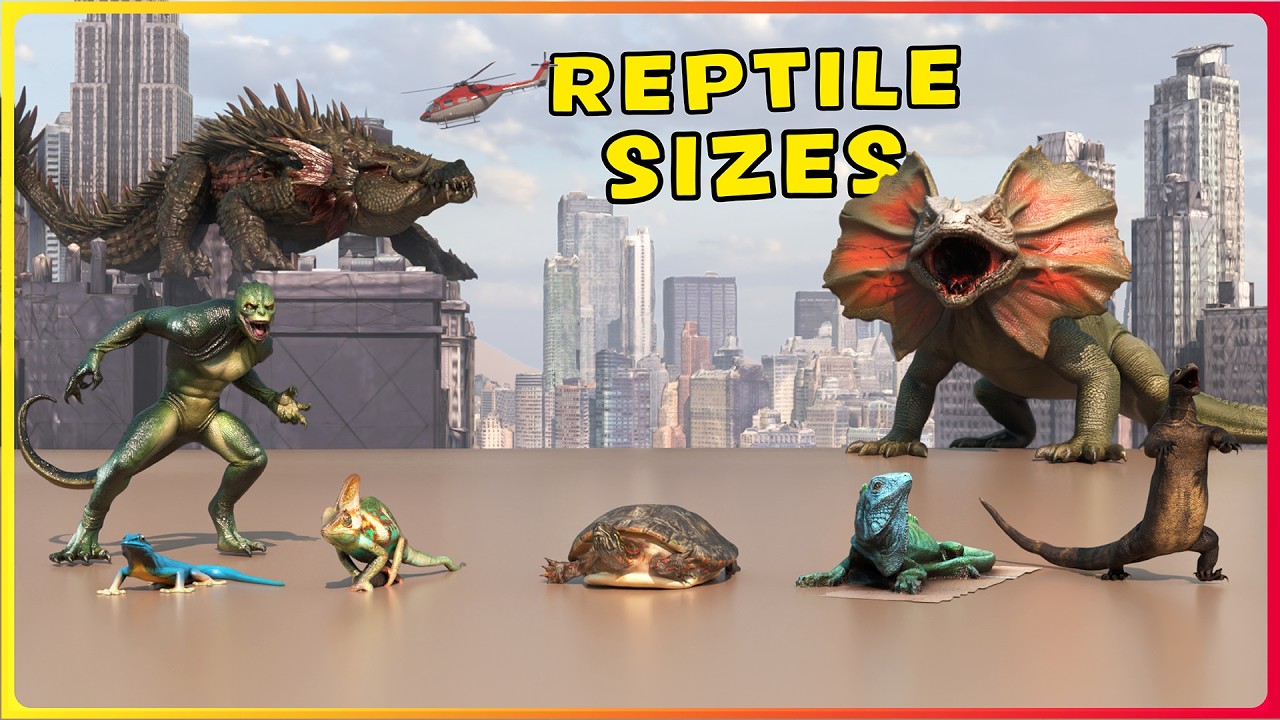 How BIG are REPTILES? 🦎 Real vs Movie GIANT Reptiles | EPIC Size Comparison 3D