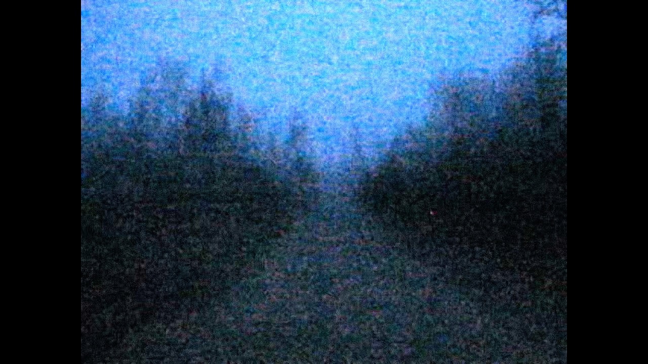 ✦ free flawed mangoes type beat 