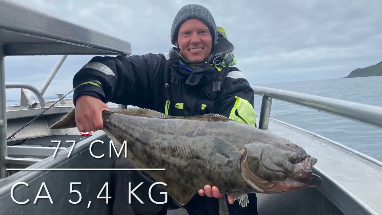 Havøysund 11.-18. august 2022 - Jagten på helleflynder