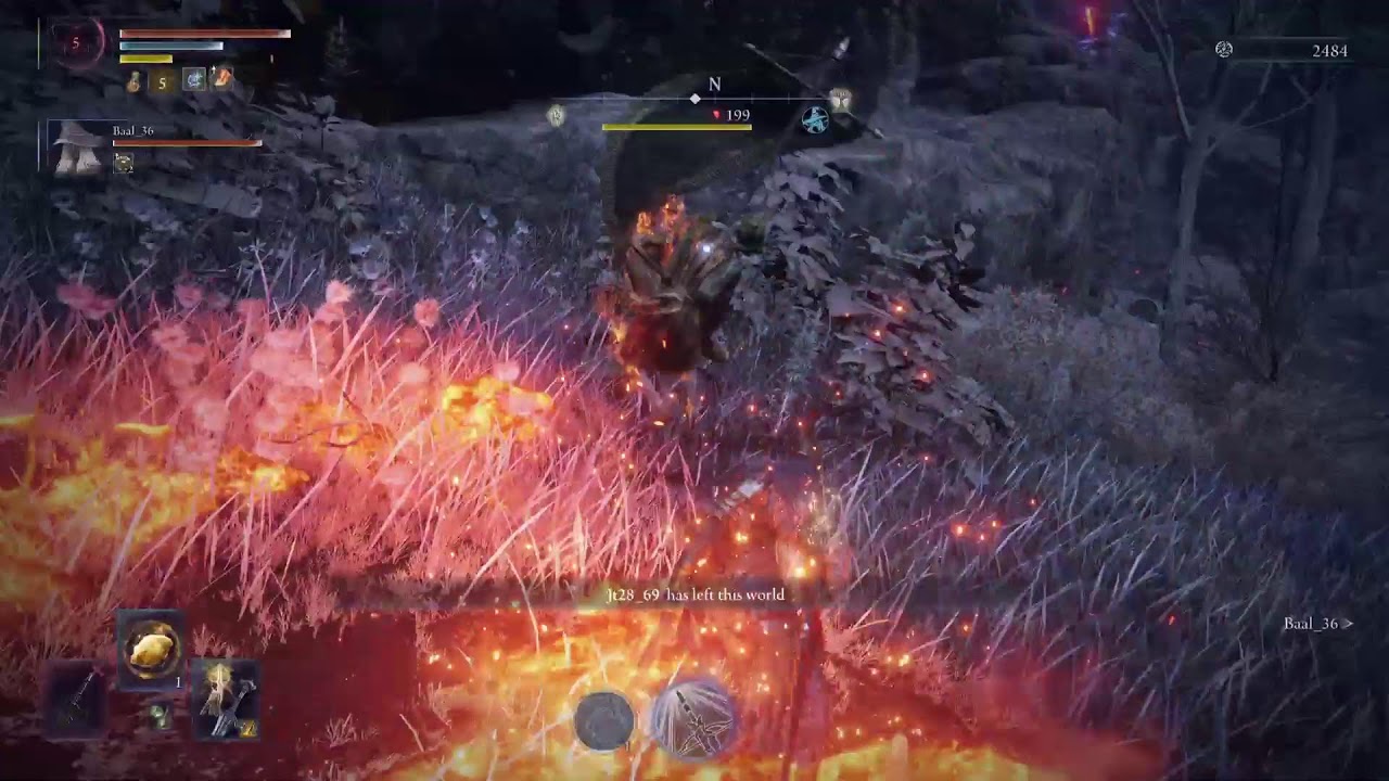 NIGHT REIGN LIVESTREAM