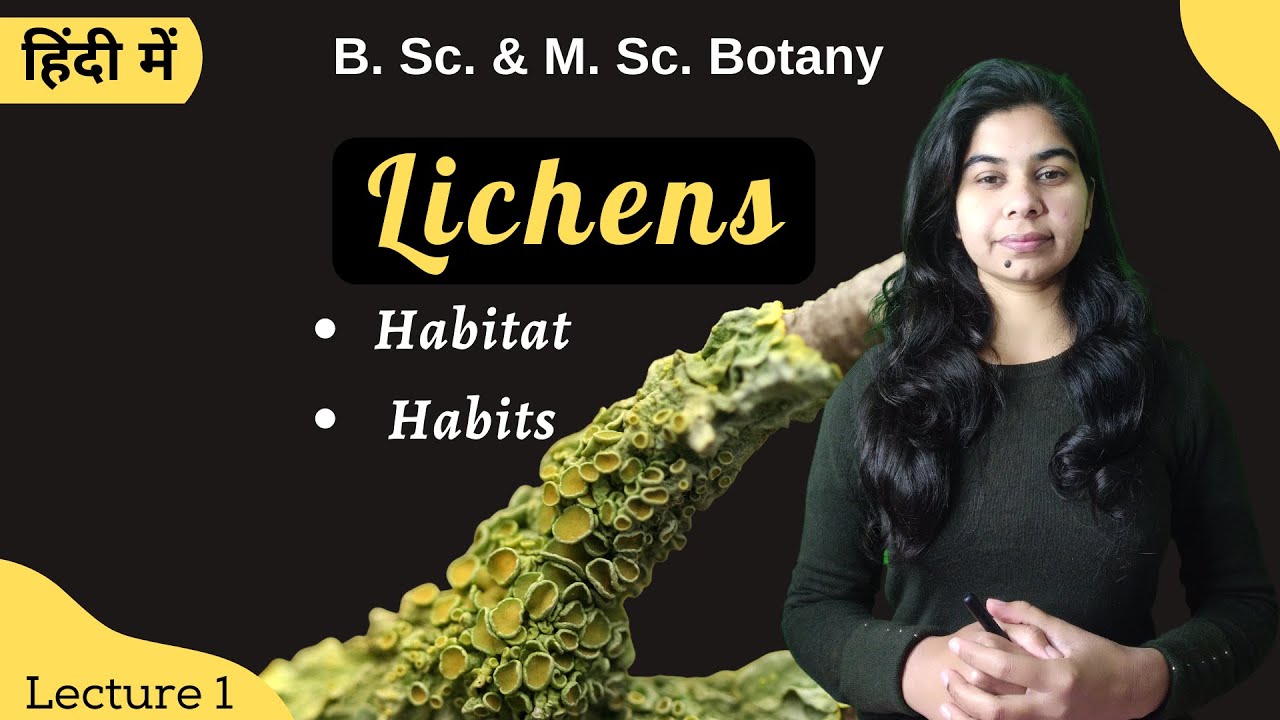 Lichens || Introduction || in Hindi || Botany || B. Sc. & M. Sc.