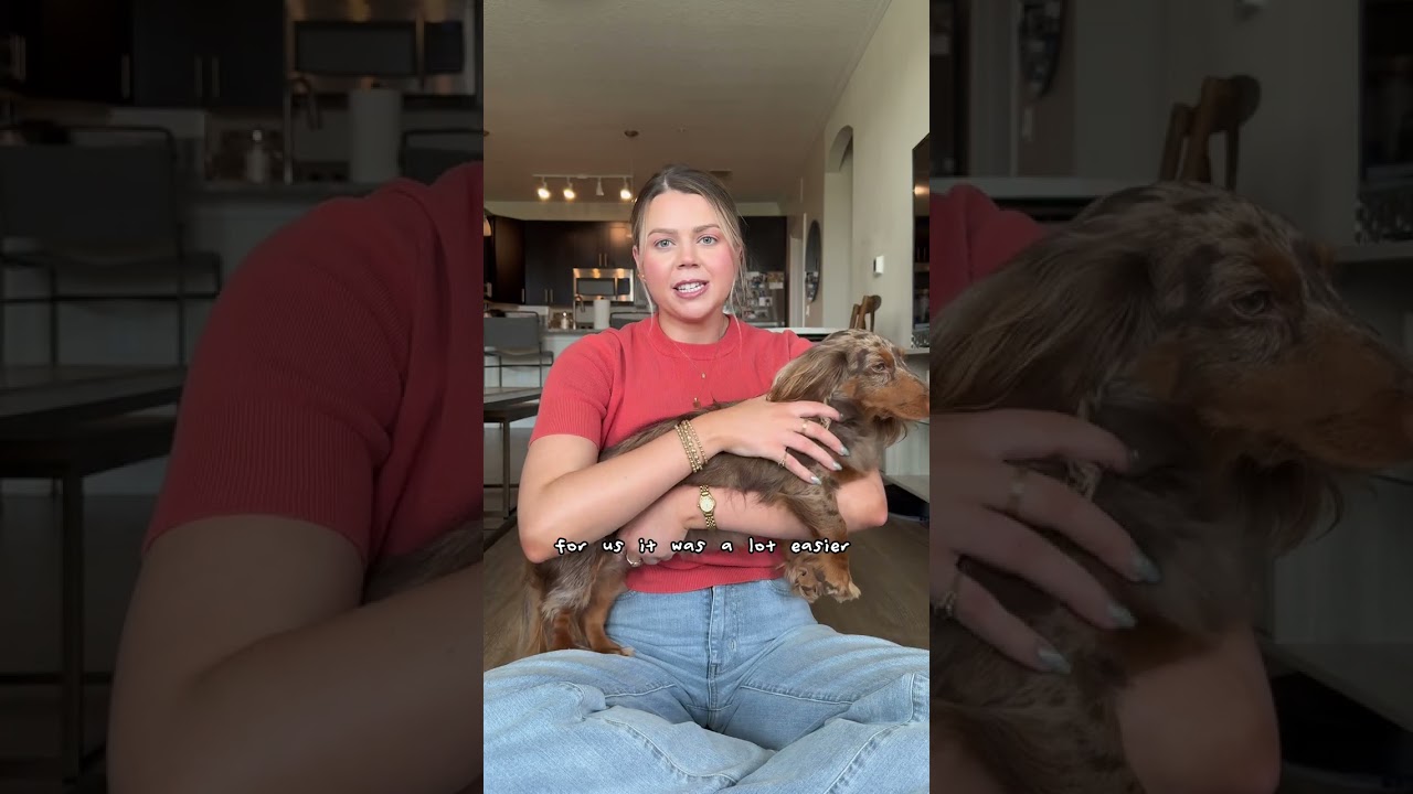 HOW TO POTTY TRAIN YOUR DACHSHUND 💩🧻 1