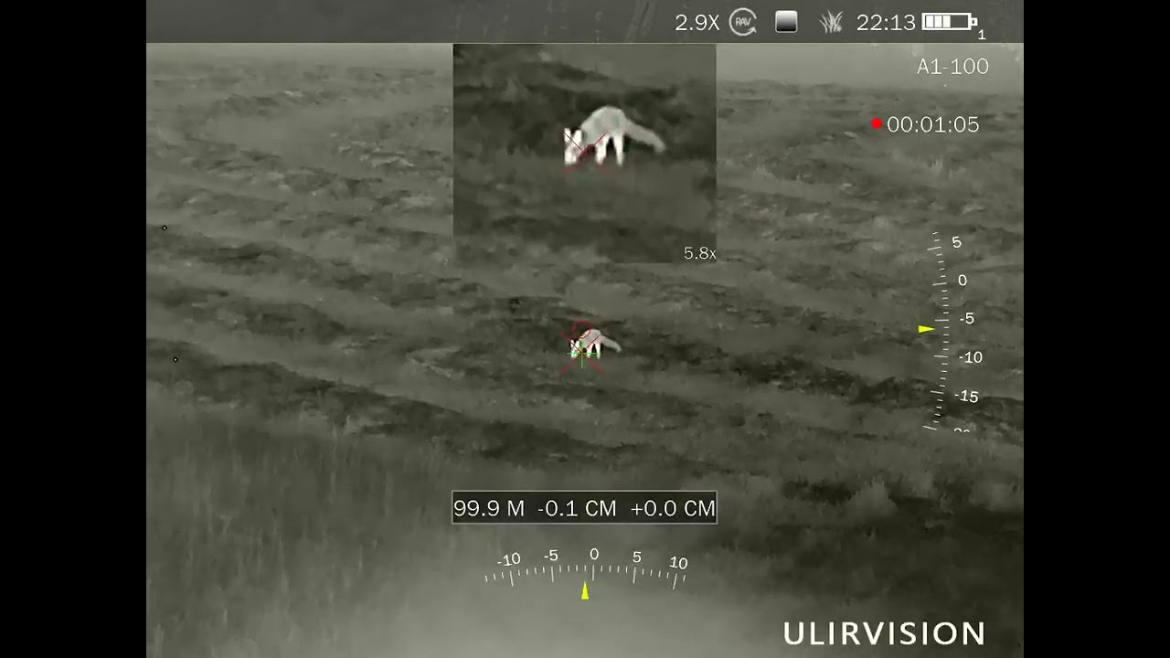 ULIRVISION POLAND EL650 NIEDOLISEK