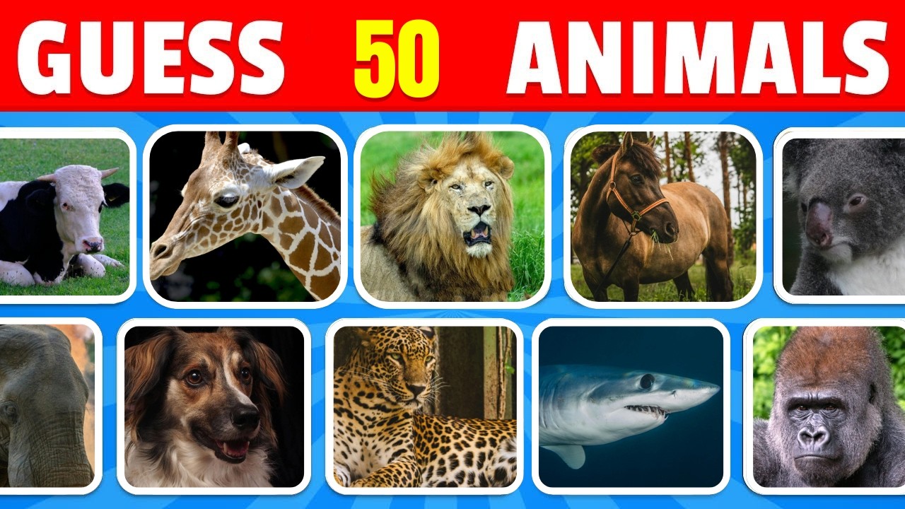Guess 50 Animals in 3 Seconds | Easy, Medium