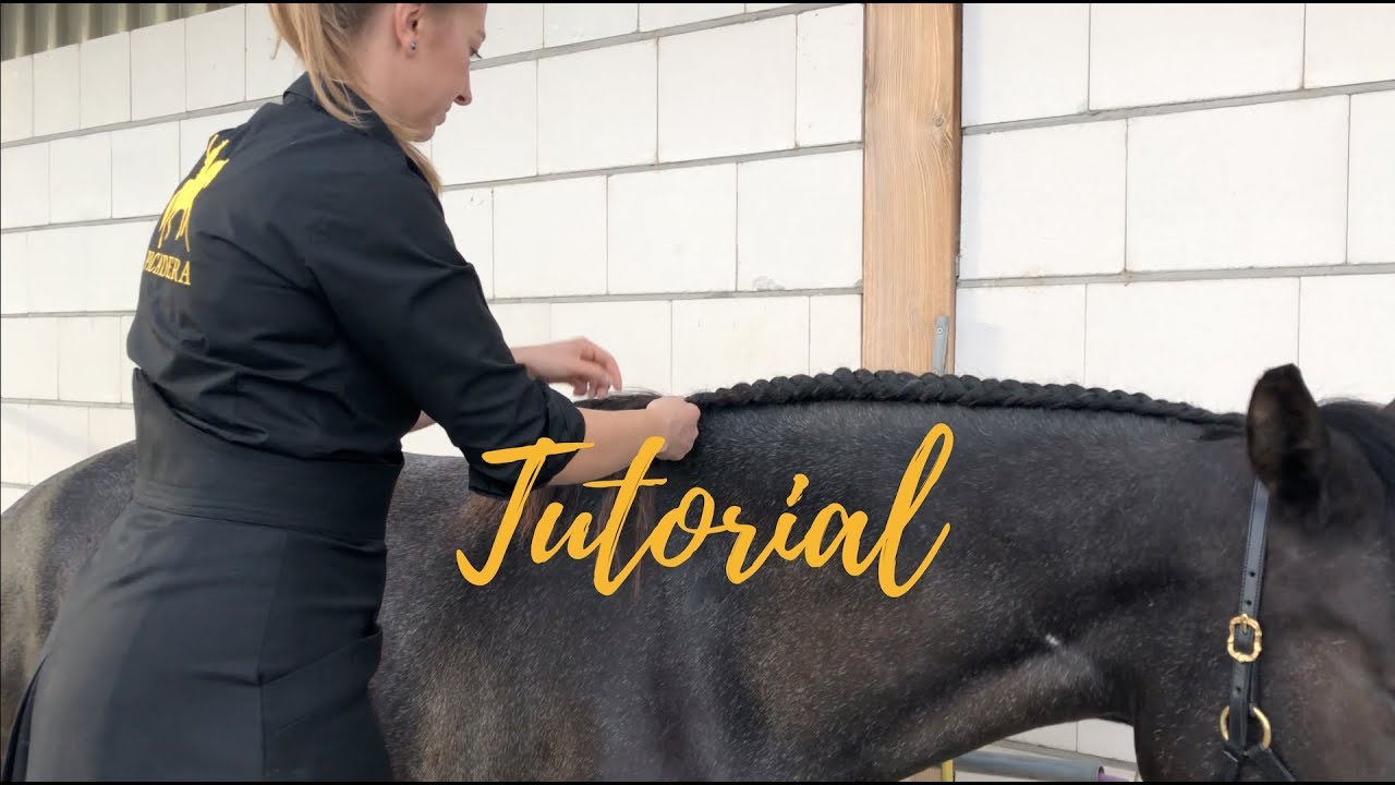 Mähne flechten - Portugiesischer Zopf / Bauernzopf - Tutorial