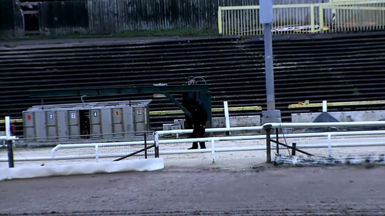 Owlerton Stadium Trials Sunday 15th February 2026