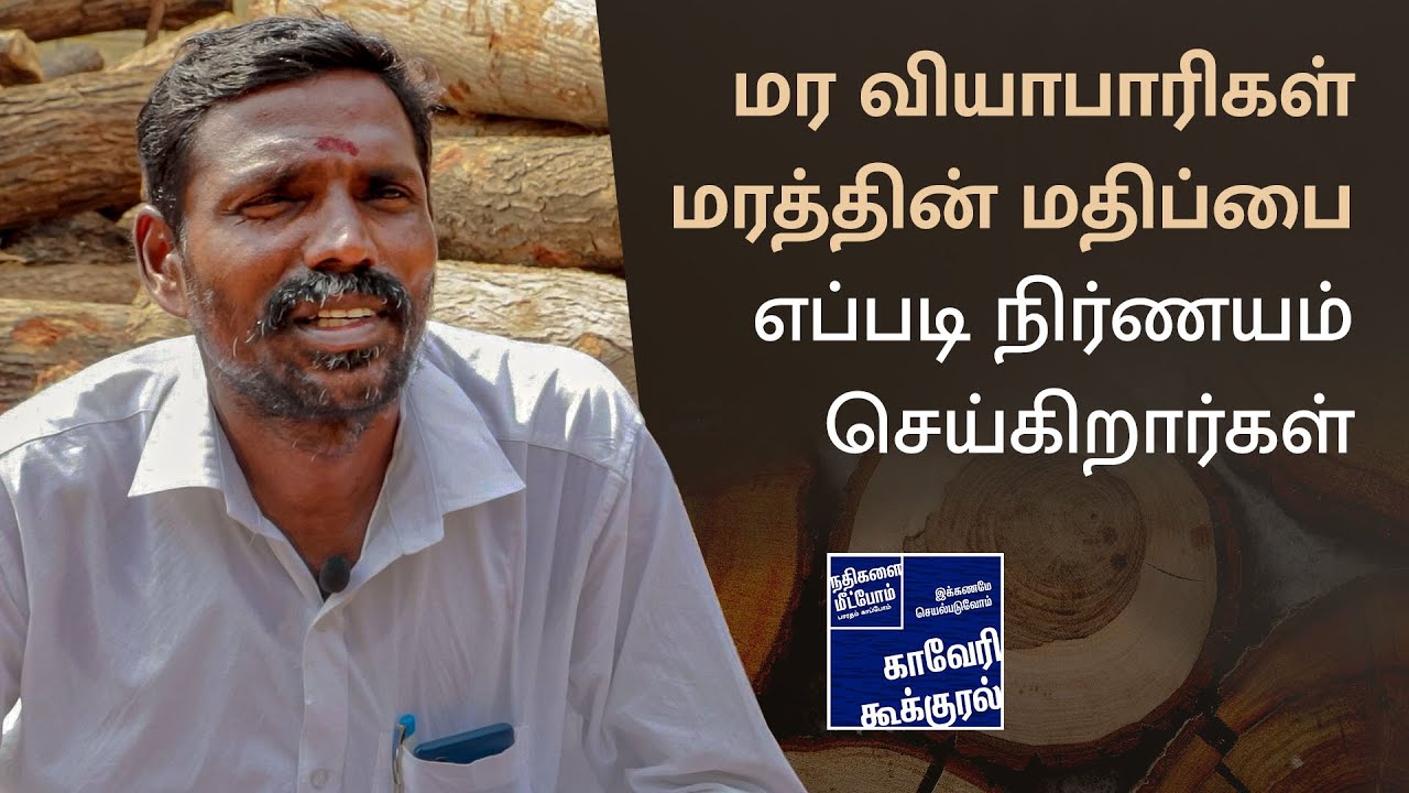 மர வியாபாரிகள் மரத்தின் மதிப்பை எப்படி நிர்ணயம் செய்கிறார்கள் | Cauvery Kookural