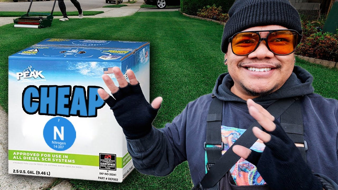 LAWN HACK Cheapest Nitrogen for your lawn ~ I can't believe we're doing this 😳