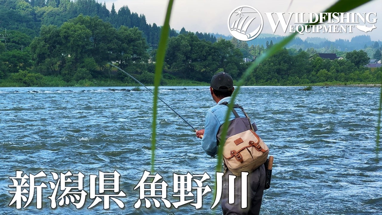 【フライフィッシング】我が師オヤジの魚野川