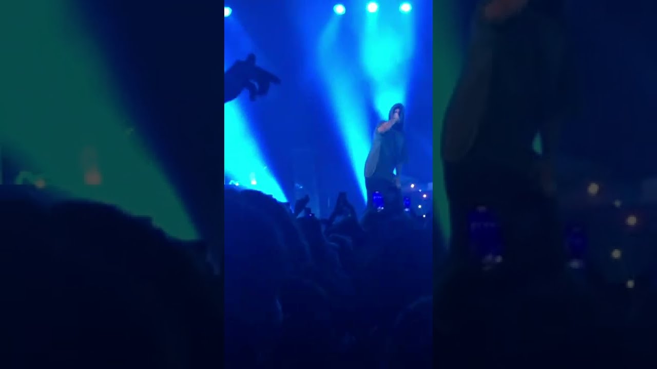 Tj_beastboy - Weregarurumon // Aus Versehen (live am 26.06.22)
