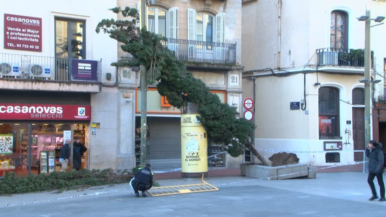 Primers efectes del temporal de vent a Terrassa, però sense danys personals