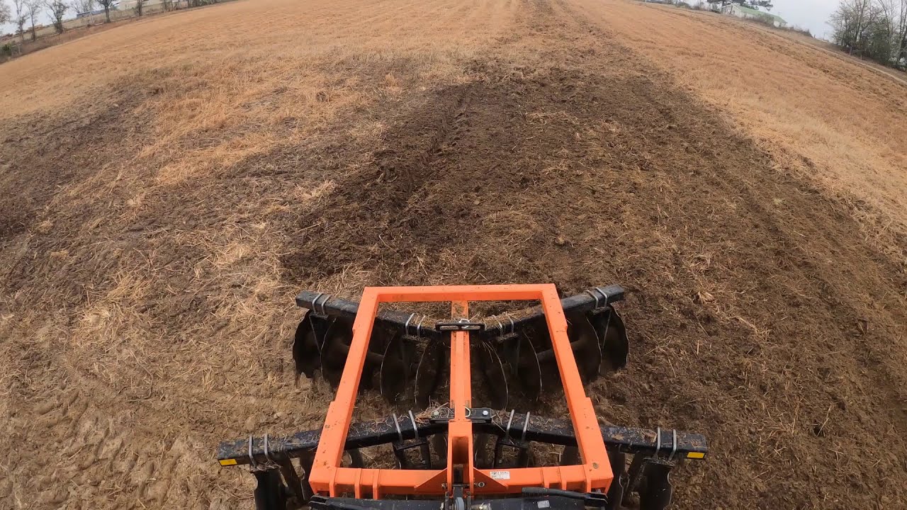 New Olives - Part 1; Prepping Land
