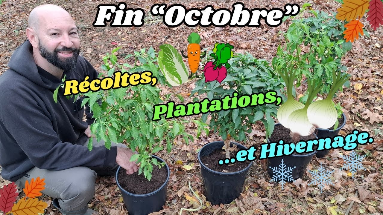 Fin 