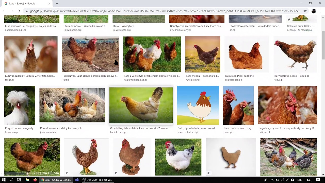 Wyszukiwanie informacji w google pl