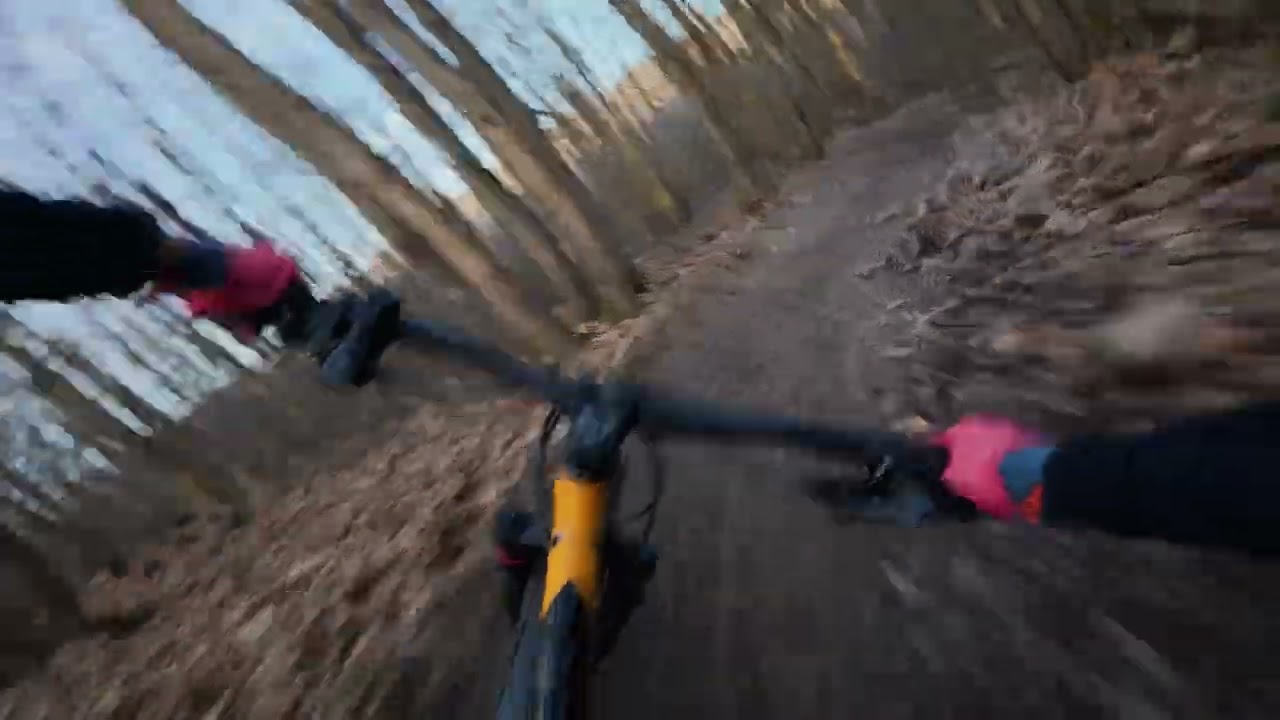 Session Hardtail à Montmorency : Nordest Britango 3 sur les traces de MontFreeride ! 🤘