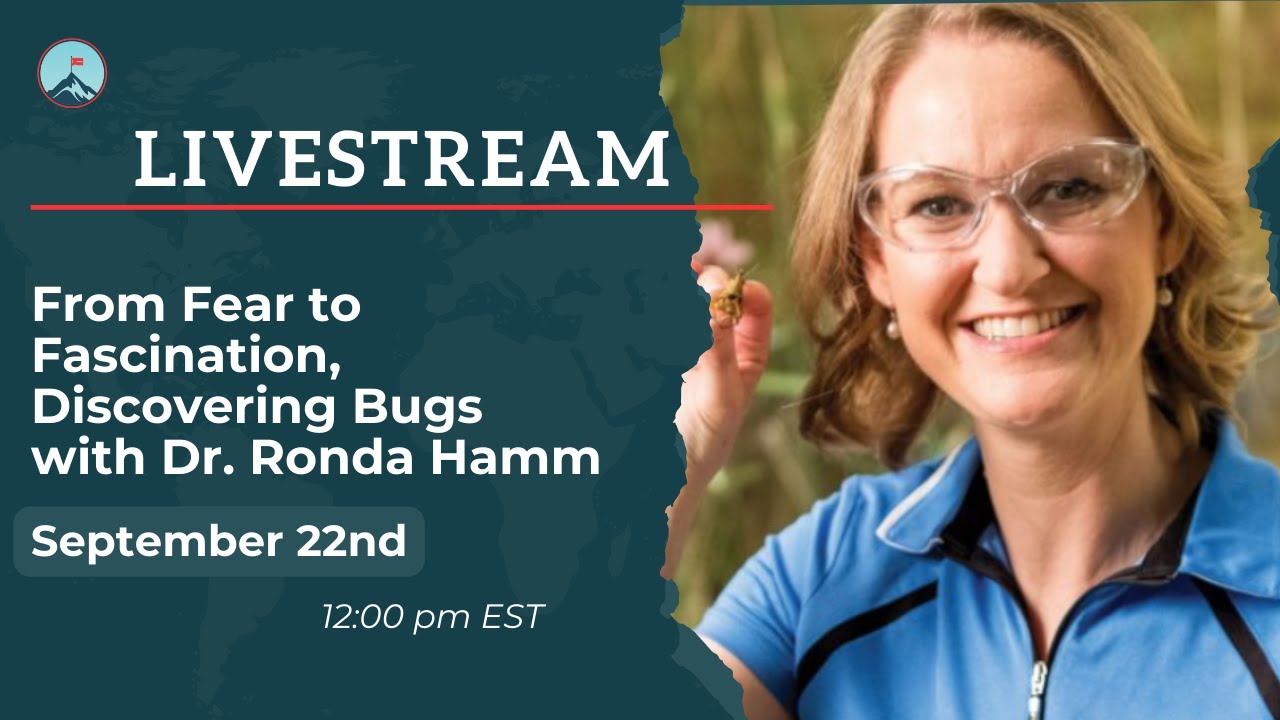 From Fear to Fascination, Discovering Bugs with Dr. Ronda Hamm