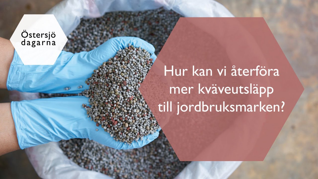 Hur kan vi återföra mer kväveutsläpp till jordbruksmarken?