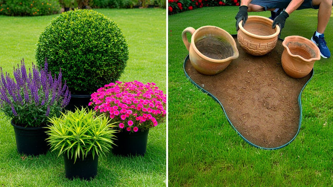 Jardim para Sol: 2 Ideias Elegantes para Decorar seu Quintal!☀️🌿