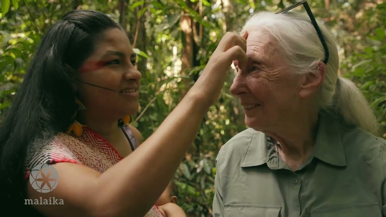 En memoria de Jane Goodall