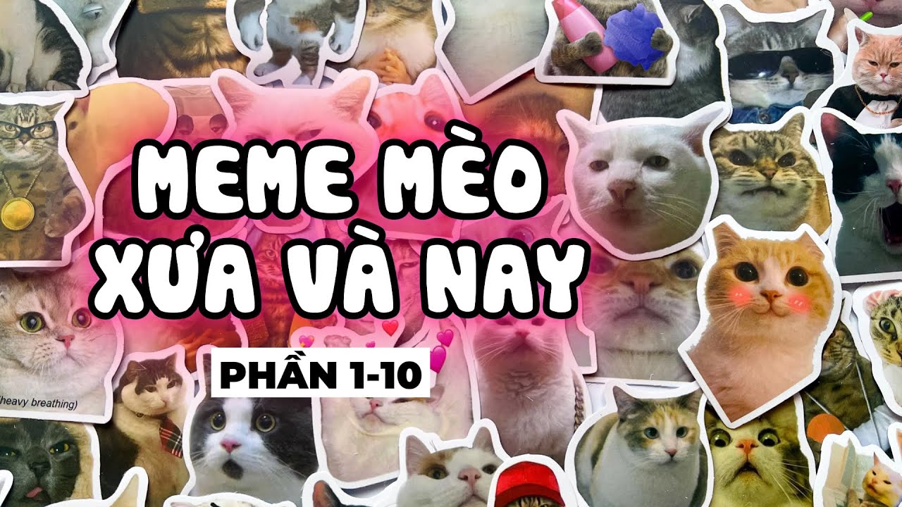 Tổng hợp 10 PHẦN meme mèo xưa và nay (P1-10)