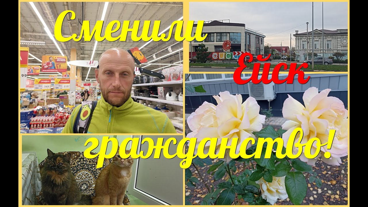 Купили УБИТУЮ квартиру у МОРЯ/Сменили ГРАЖДАНСТВО/Дешёвые ЦОКОЛИ в Ейске!