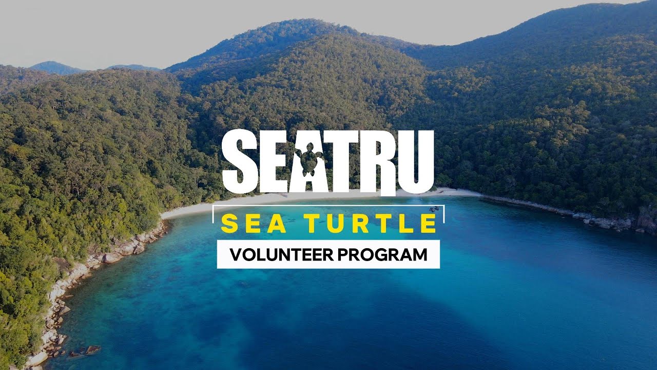 SEATRU Sea Turtle Volunteer Program