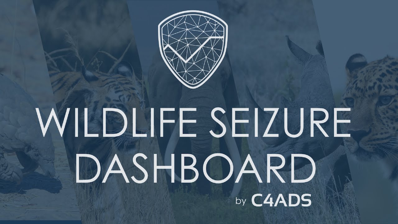 The C4ADS Wildlife Seizure Dashboard Launch