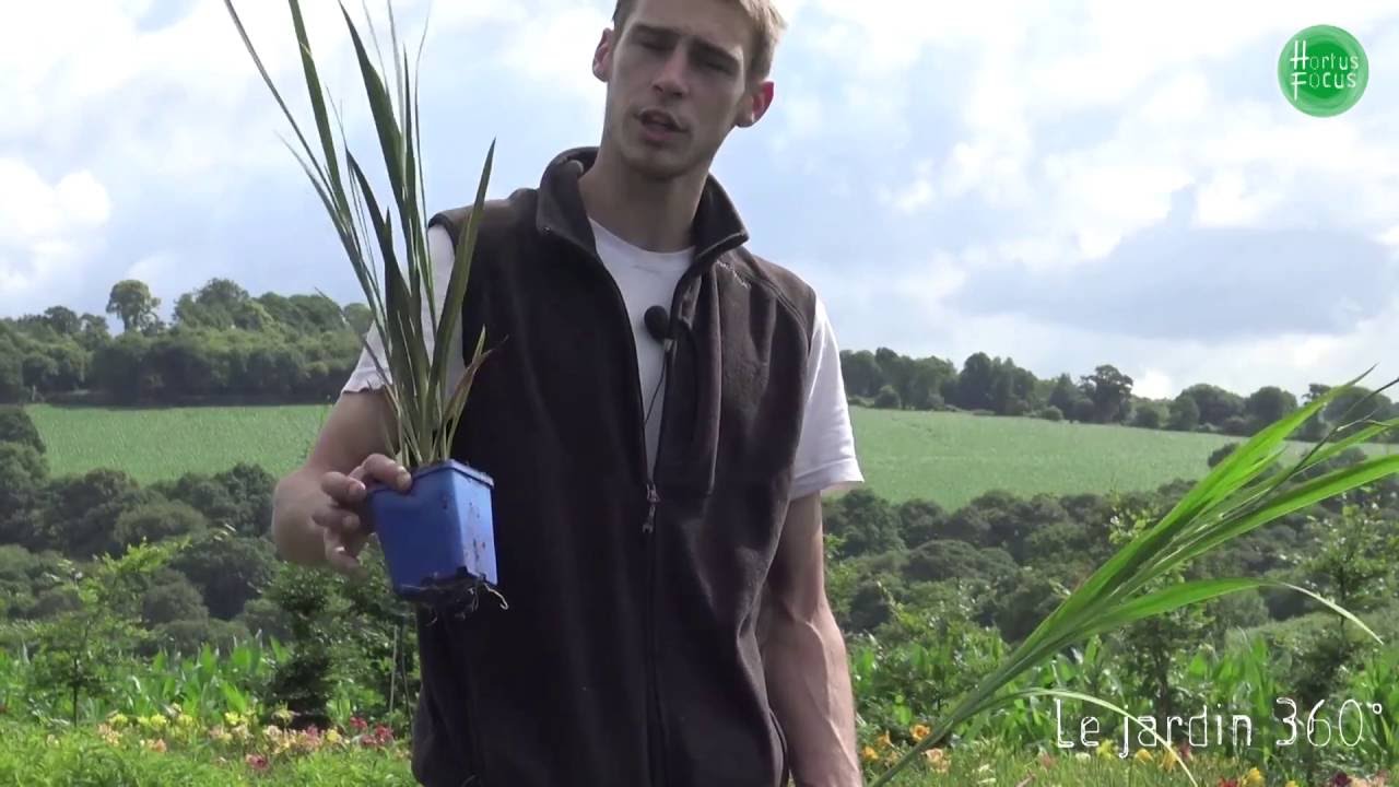 Conseils d'experts : bien choisir ses plantes