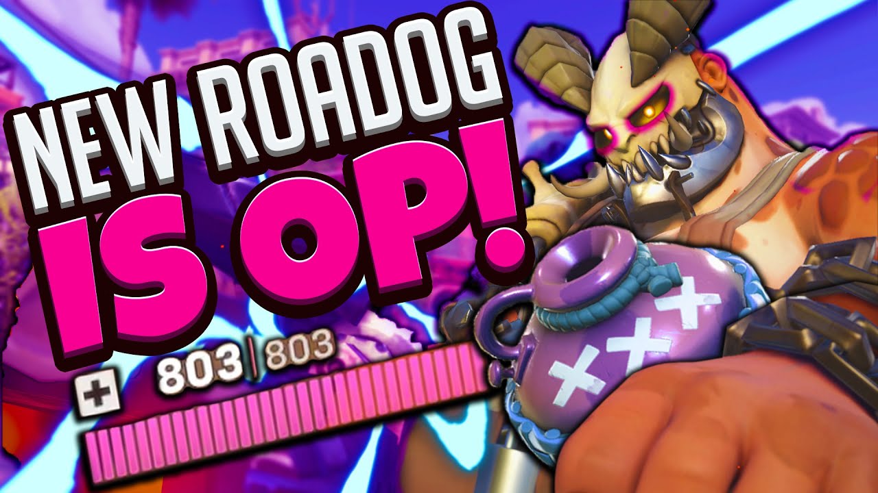 NEW ROADHOG IS OP IN OVERWATCH 2!