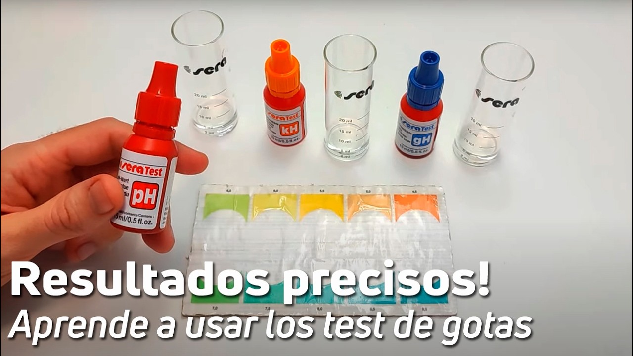 Como Realizar TEST de pH GH y KH al Agua de Nuestro Acuario | Ejemplo Práctico