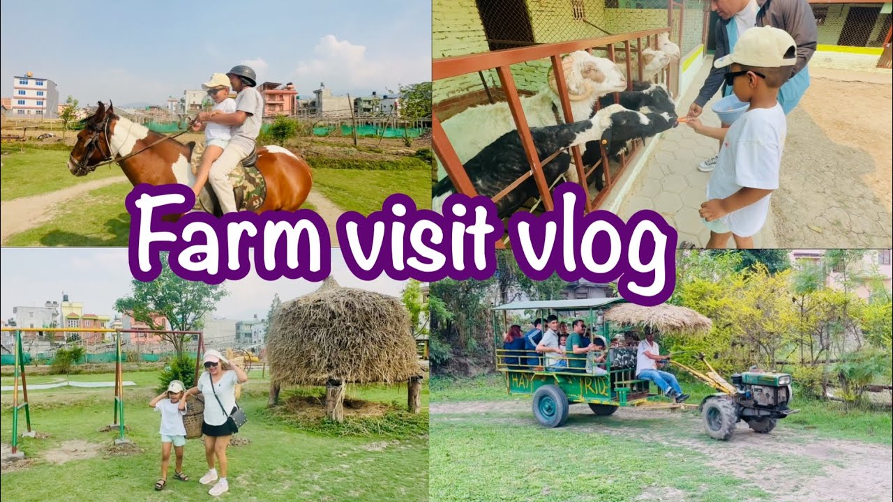 Tiger lily petting farm/farm visit vlog @ShaluGautamEntertainment