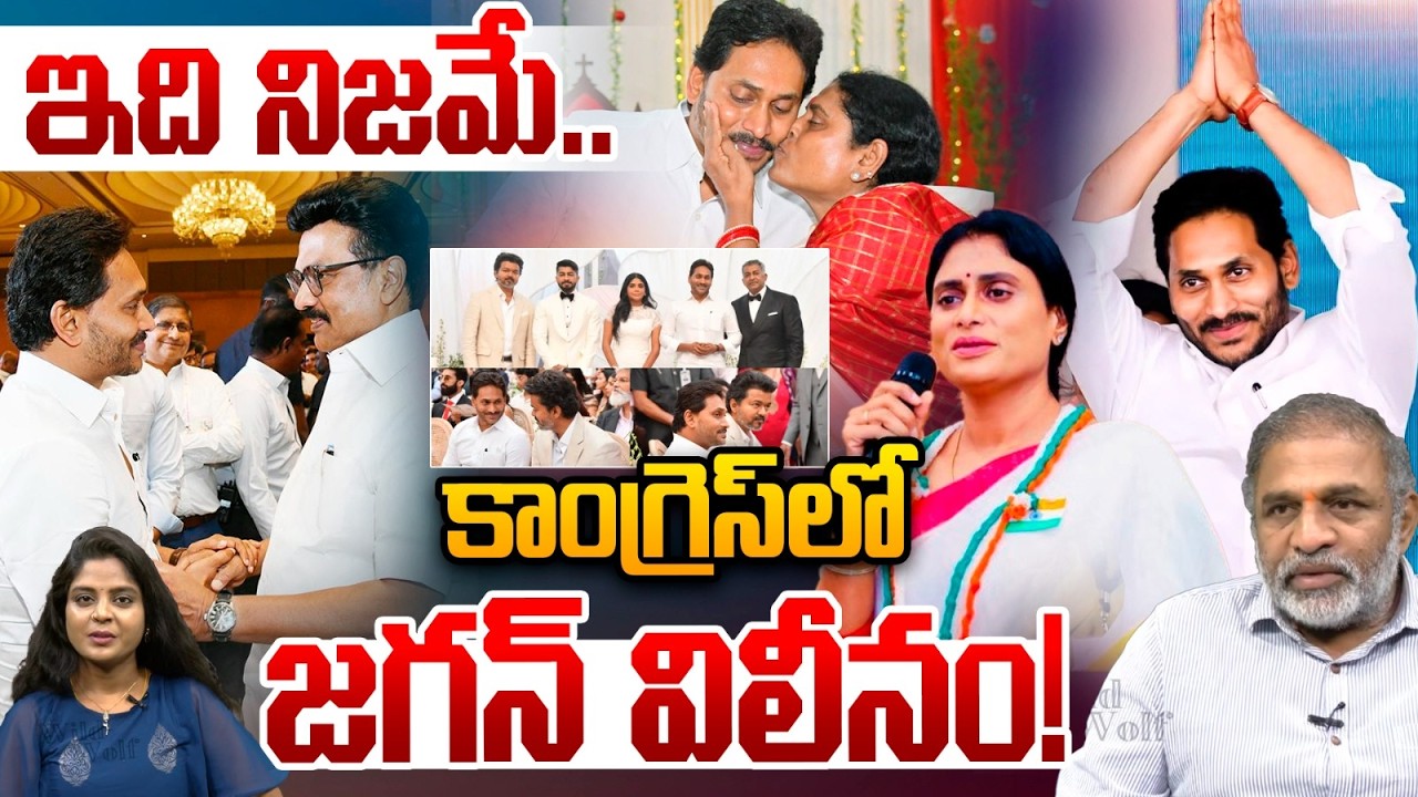 Big Shocking Twist to YCP Cadre: ఇది నిజమే కాంగ్రెస్‎లో జగన్ విలీనం | AP Politics | TVK | M K Stalin