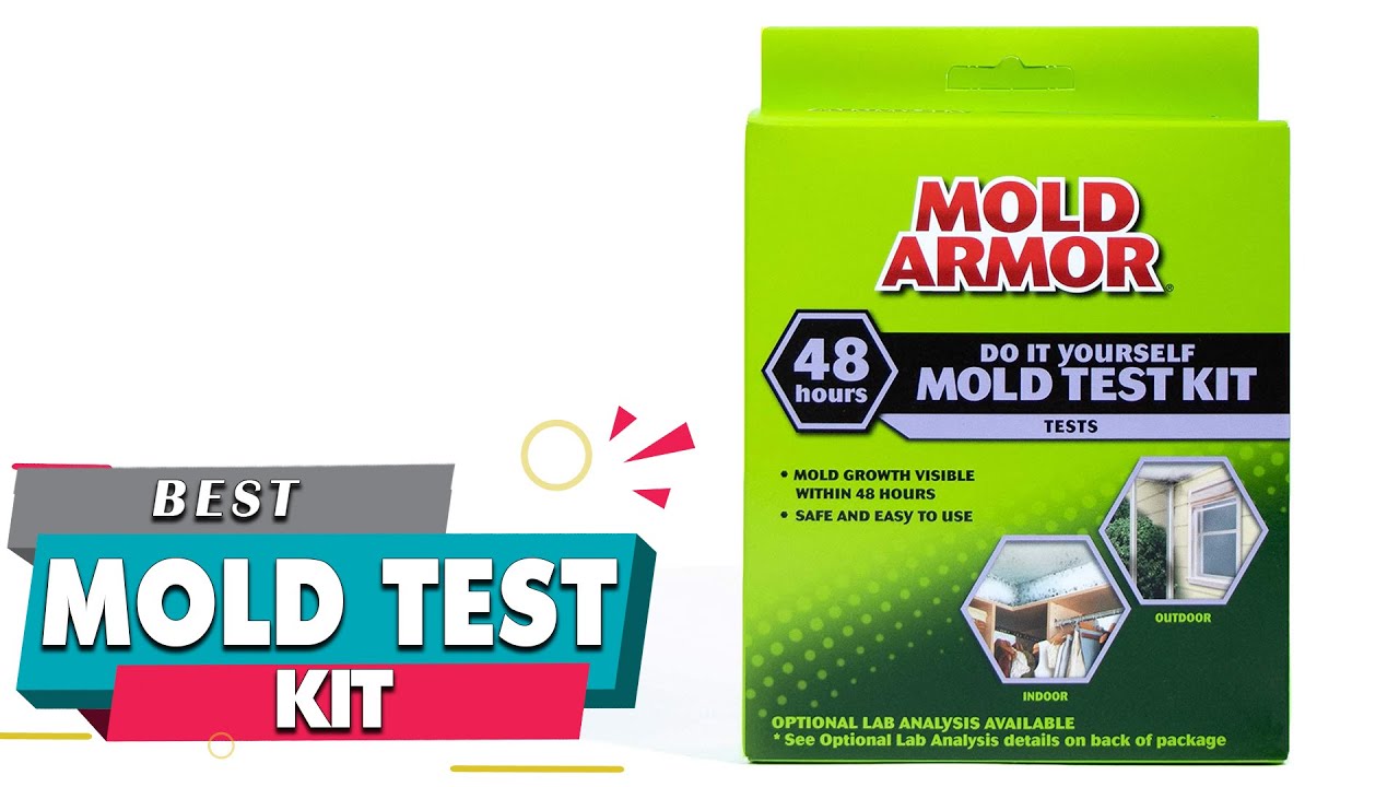 Top 5 Best Mold Test Kits Review in 2023