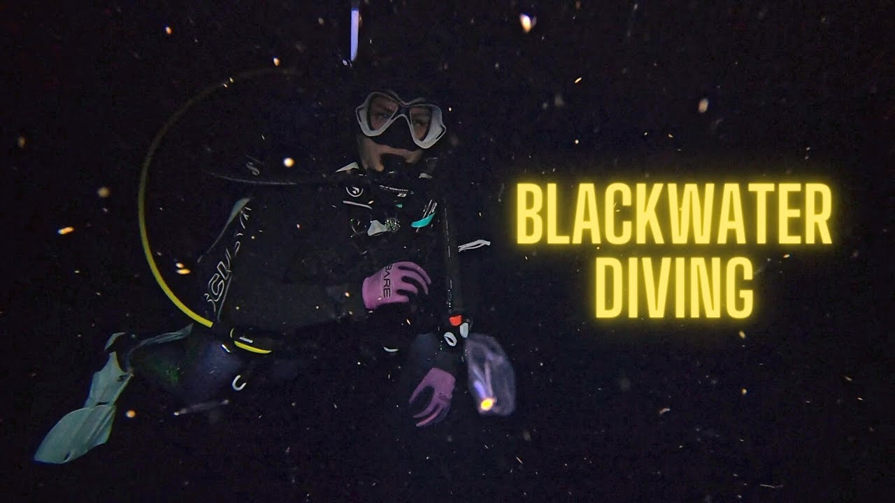 The Most Extreme Night Dive - Scuba Vlog