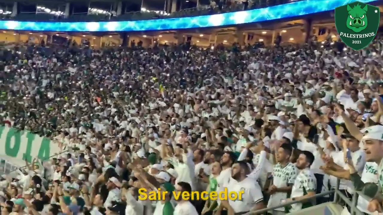 VAMOS PRA CIMA, PORCO! - M&uacute;sica nova da torcida Palmeiras.