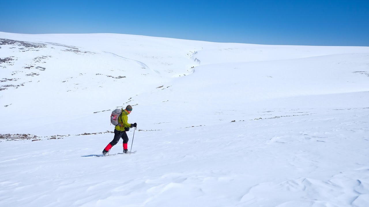 A Tablelands Snowshoe - 2017