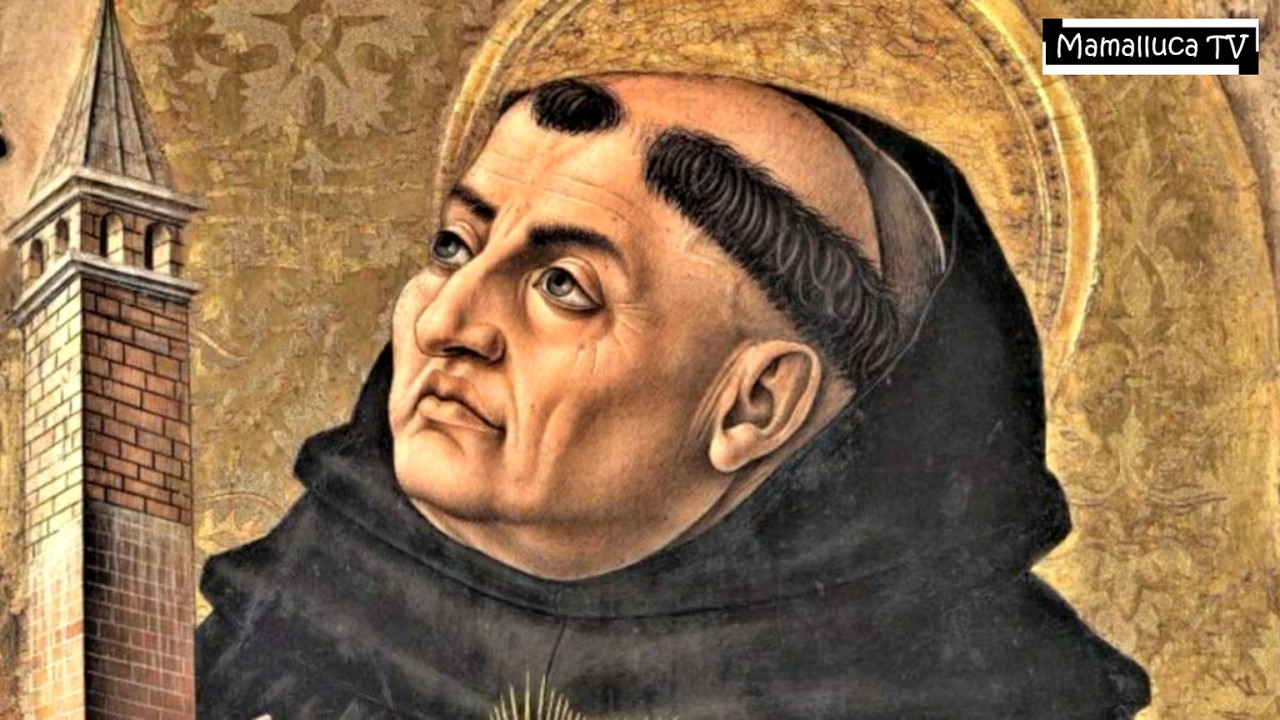 Santo Tomás de Aquino: “Si el objetivo fuera preservar su barco, lo mantendría en el puerto”.