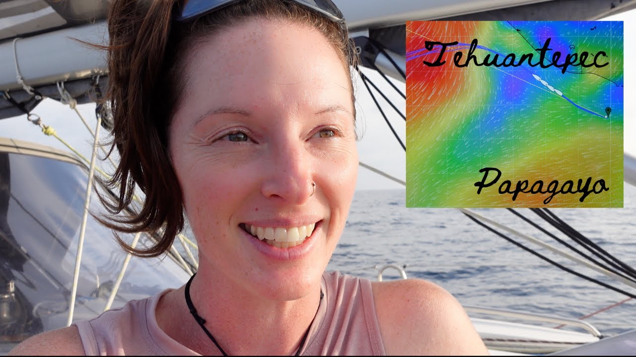 SEALIFE everywhere! Offshore sailing Papagayo AND Tehuantepec winds 10k mi aboard Allures 39.9 part8