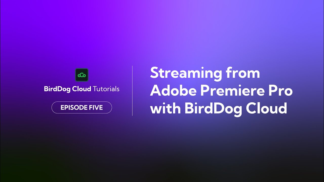 BirdDog Cloud Tutorial Series - E5: Streaming from Adobe Premiere Pro with BirdDog Cloud