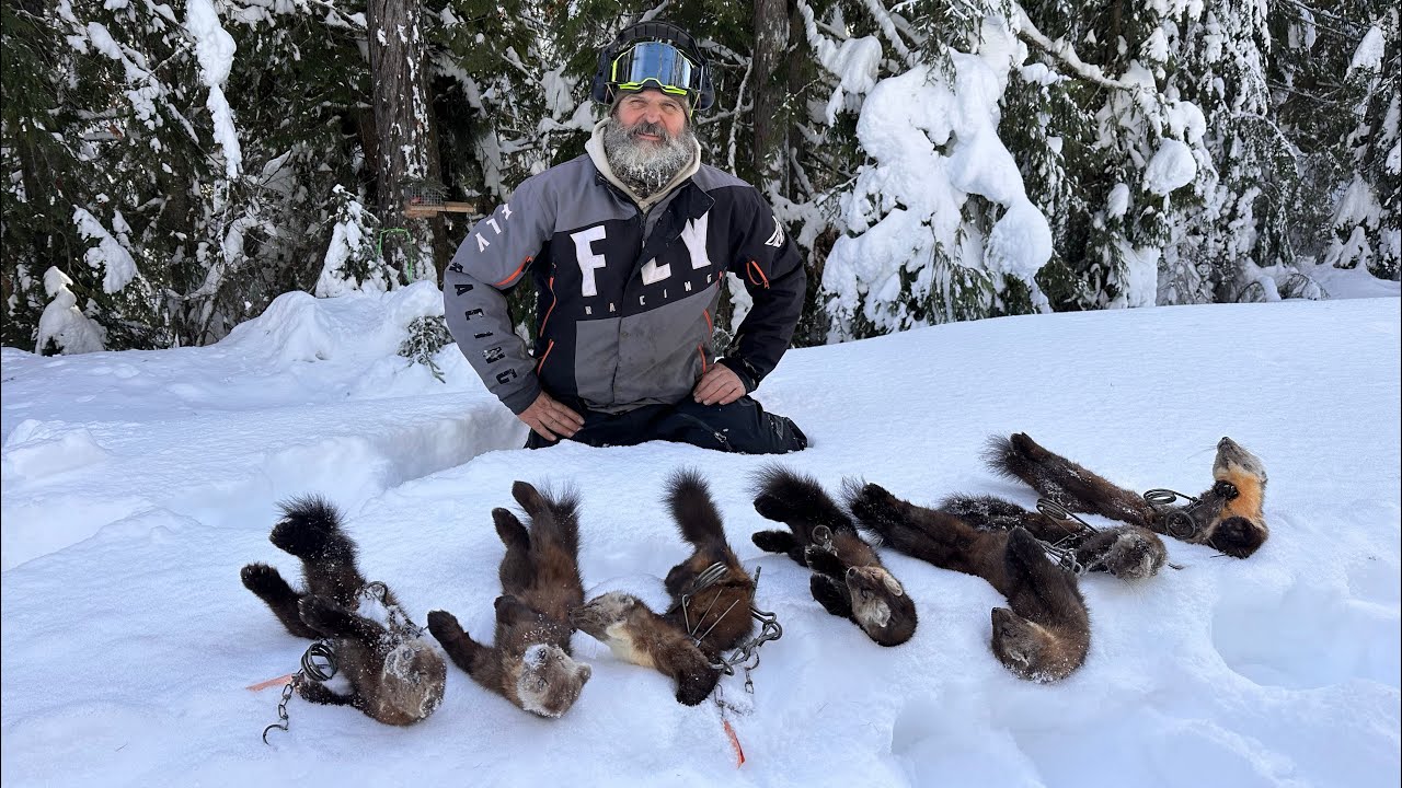 Good day in the back country! #mountainmen #snow #winter #marten #furtrapper #martentrapping